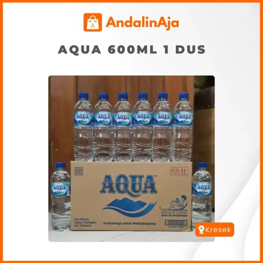 Aqua 600ml 1 Karton