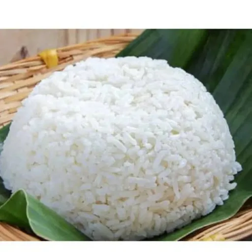 Nasi putih