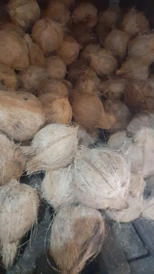 'Kelapa Utuh, Giling, Peras'